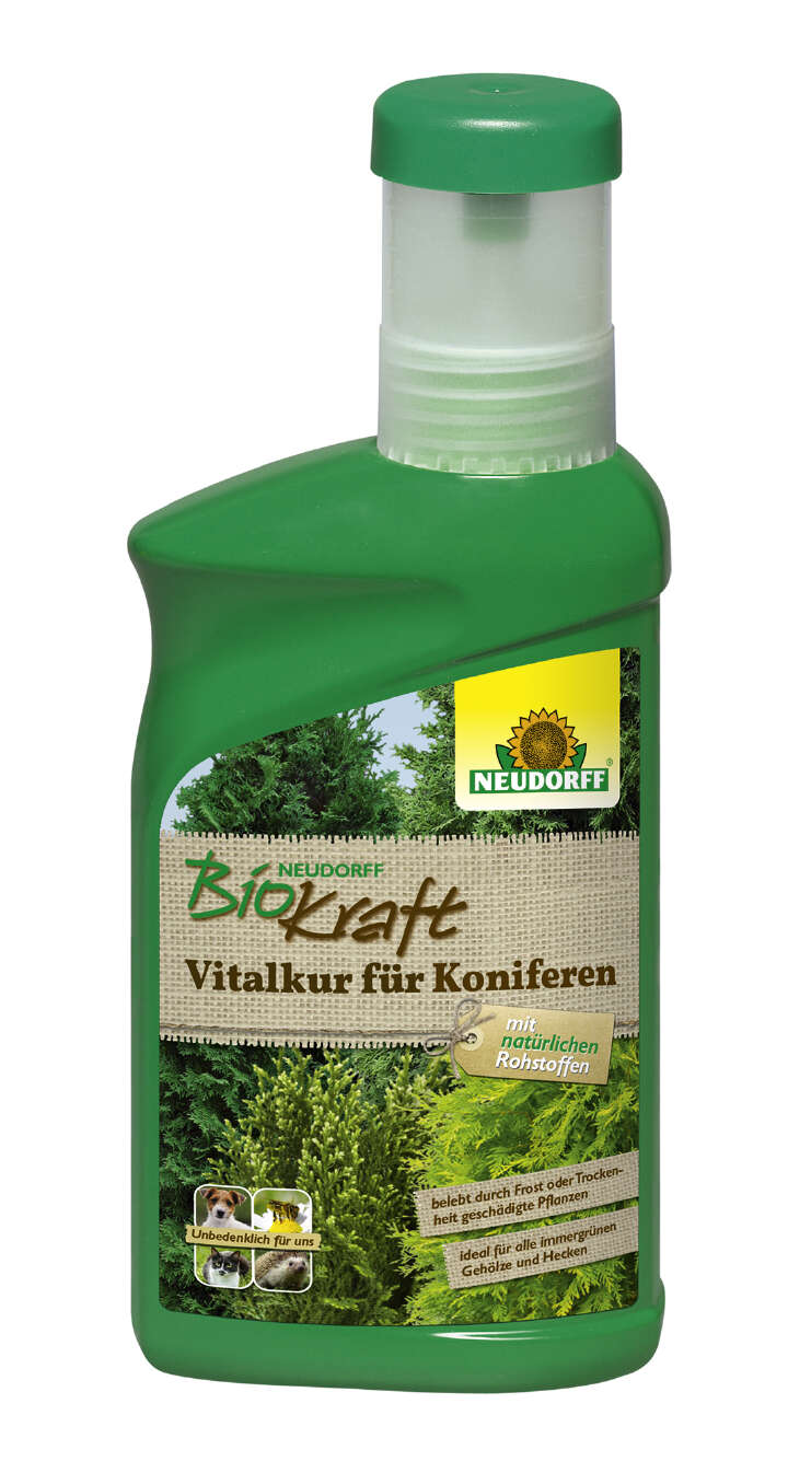 NEUDORFF BioKraft Vitalkur für Koniferen